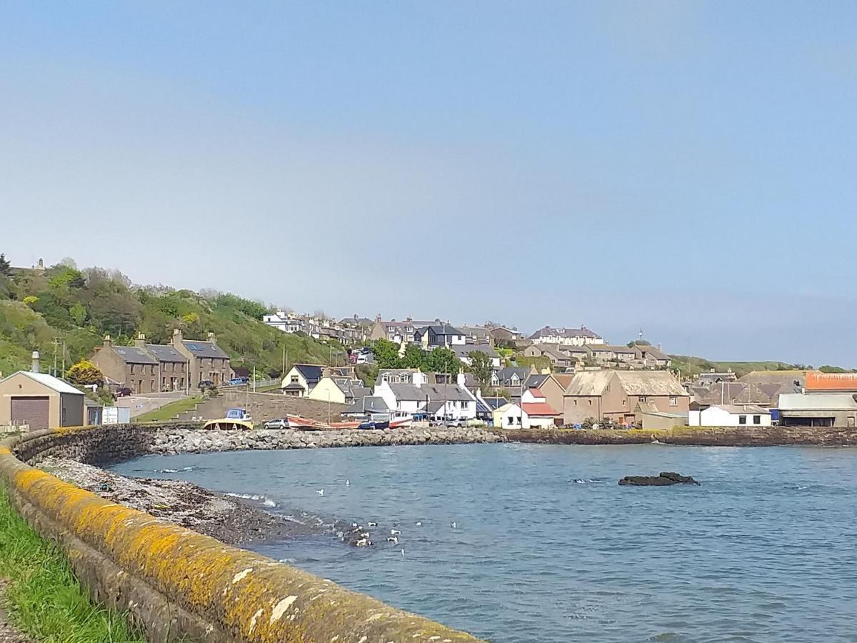 Coastal Cottage Inverbervie ภายนอก รูปภาพ